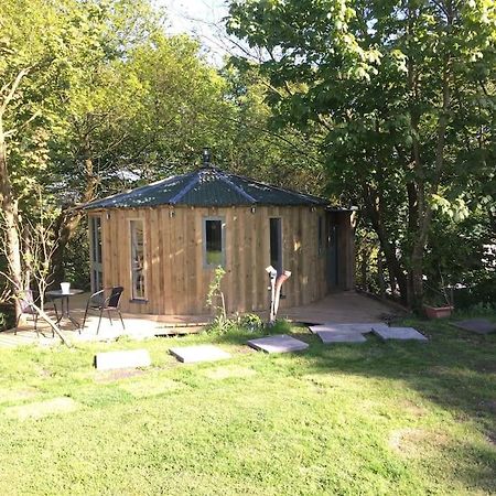 The Roundhouse - Unique Space Nestled In The Trees Begelly Dış mekan fotoğraf